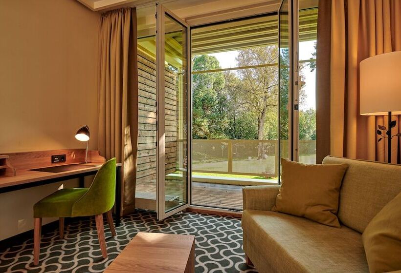 Номер Стандарт, Parkhotel Rothof