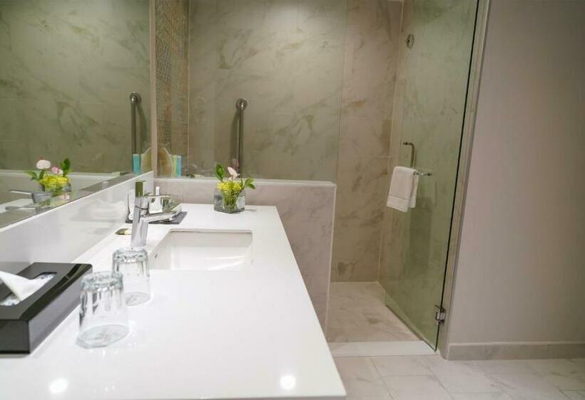 デラックスルーム, Barceló Mexico Reforma