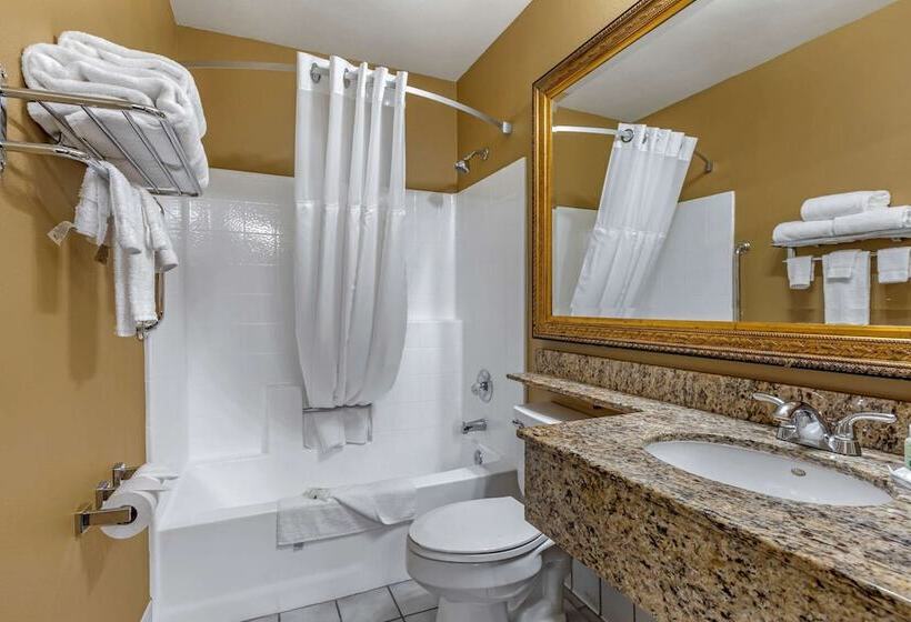 Люкс, Quality Inn & Suites Westminster Seal Beach