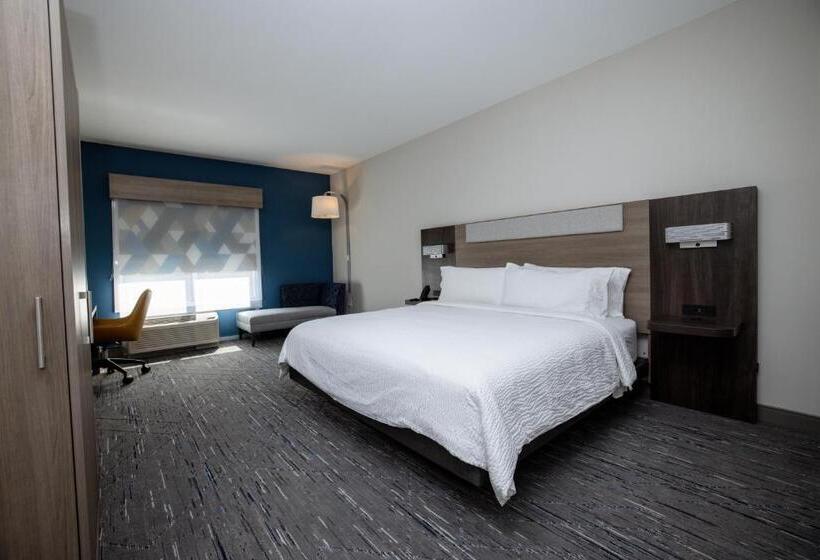 带大床的标准间, Holiday Inn Express & Suites Tampa Stadium   Airport Area, An Ihg