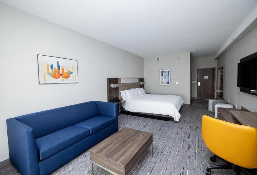 带大床的套房, Holiday Inn Express & Suites Tampa Stadium   Airport Area, An Ihg