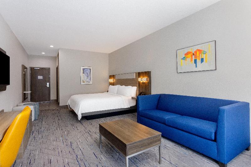 带大床的套房, Holiday Inn Express & Suites Tampa Stadium   Airport Area, An Ihg