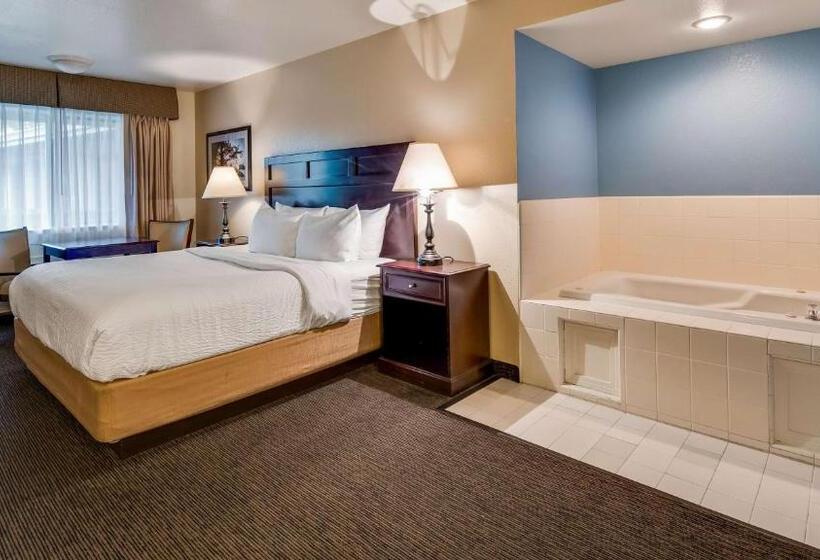 חדר סטנדרט עם מיטת קינג, Best Western Arcata Inn