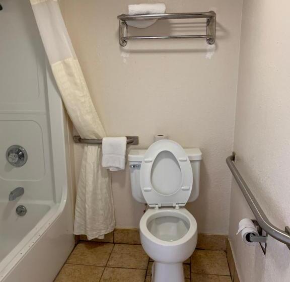스위트 킹사이즈 침대, Zainee Inc Budgetel Inn And Suites