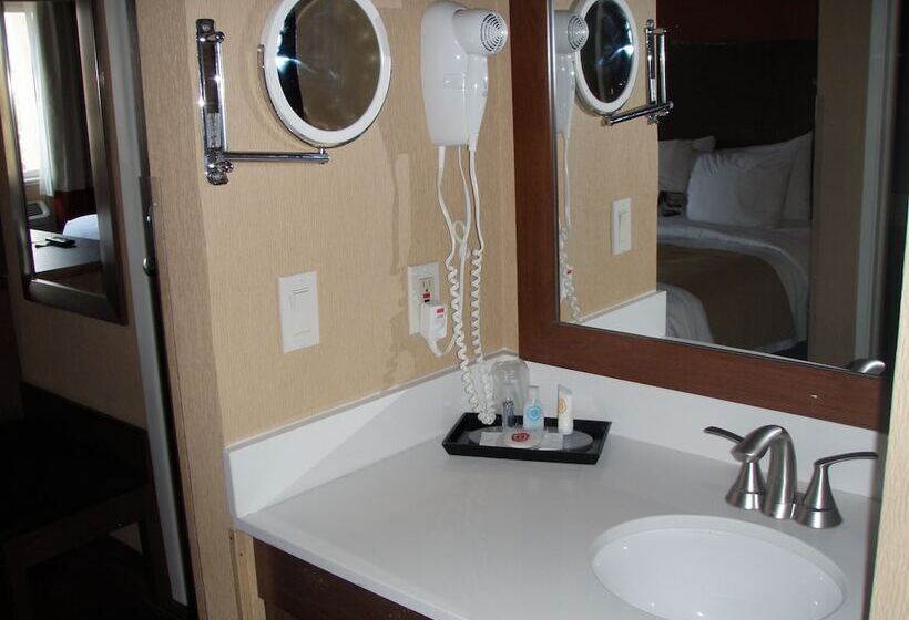스위트, Comfort Inn Flagstaff Lucky Lane I 40