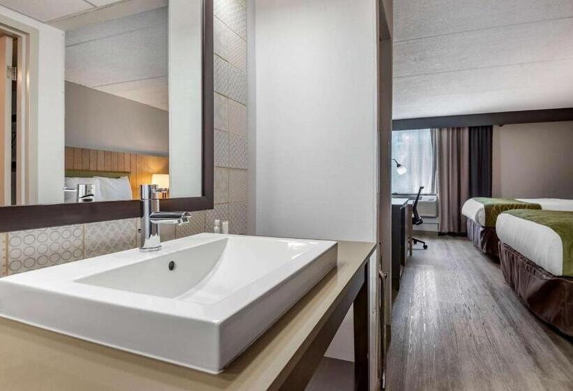 Номер Стандарт, Comfort Inn & Suites