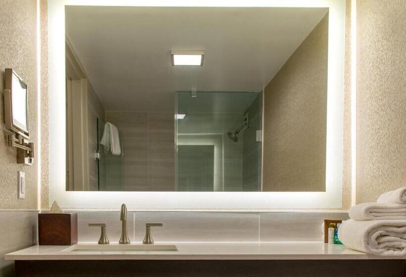 장애인을 위한 킹사이즈 침대 스탠다드 룸, Crowne Plaza Executive Center Baton Rouge, An Ihg