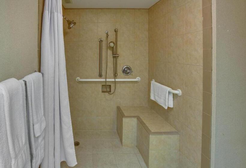 장애인을 위한 킹사이즈 침대 스탠다드 룸, Crowne Plaza Executive Center Baton Rouge, An Ihg