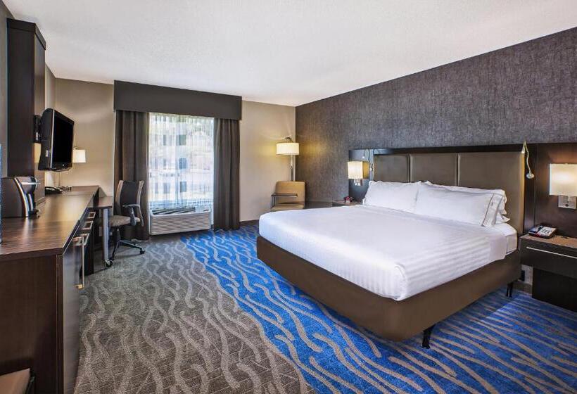 اتاق استاندارد با تخت بزرگ برای معلولان, Holiday Inn Express & Suites Dayton South   I 675, An Ihg