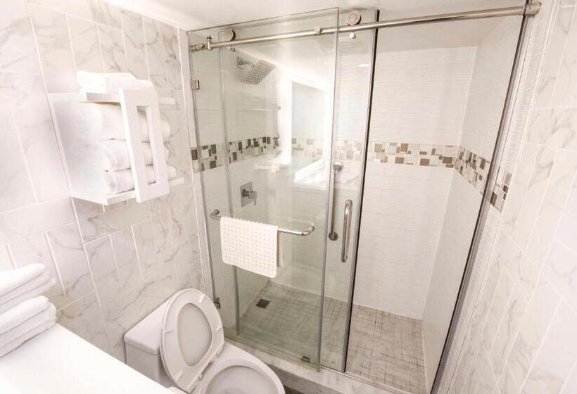 Номер Стандарт, Best Western Historical Inn