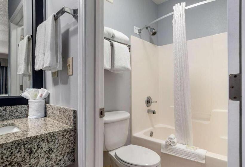 חדר סטנדרט עם מיטת קינג, Best Western Navarre Waterfront