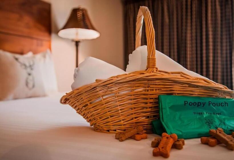 Люкс Кровать Кинг, Best Western Ponderosa Lodge