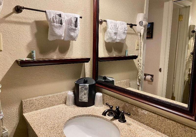 Стандартный Номер Кровать Кинг, Best Western Sheridan Center