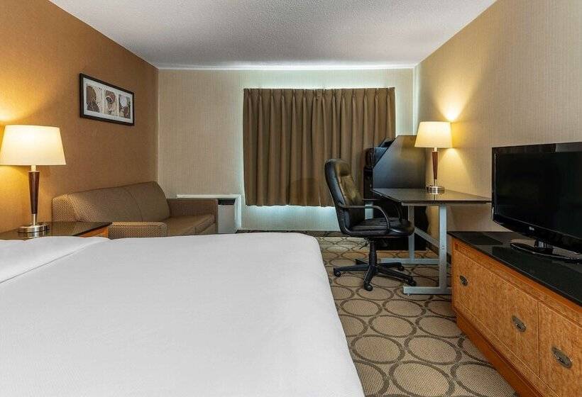 디럭스 룸, Comfort Inn