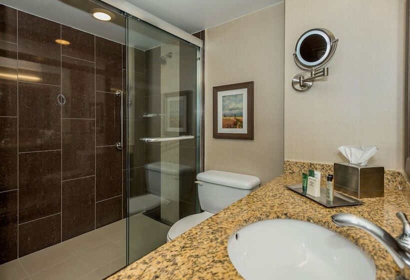 이그제큐티브 스위트, Hilton Winnipeg Airport Suites