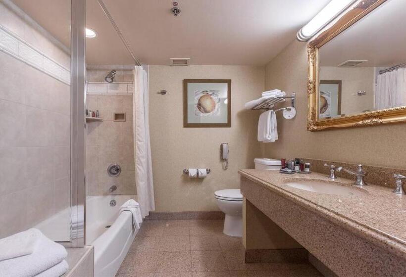 Номер Стандарт Кровать Кинг Адаптированный для Инвалидов, Sacramento Marriott Rancho Cordova