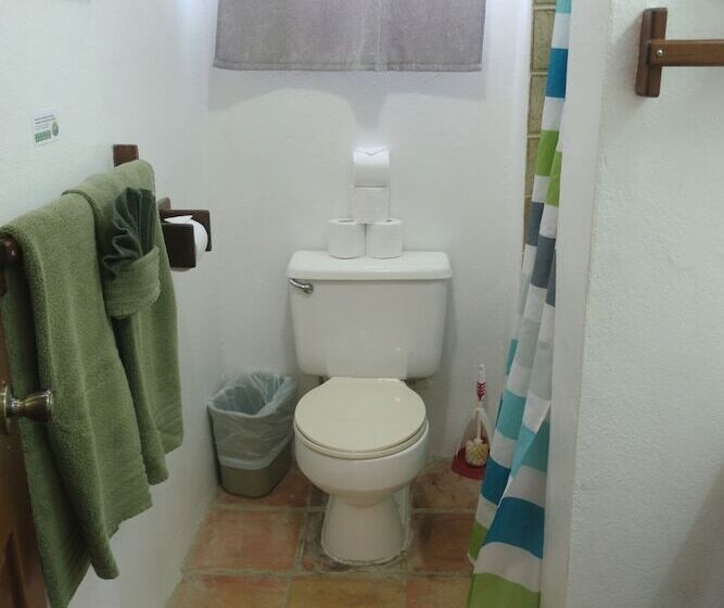 آپارتمان کلاسیک 1 خوابه, Seven Seas Resort Adults Only