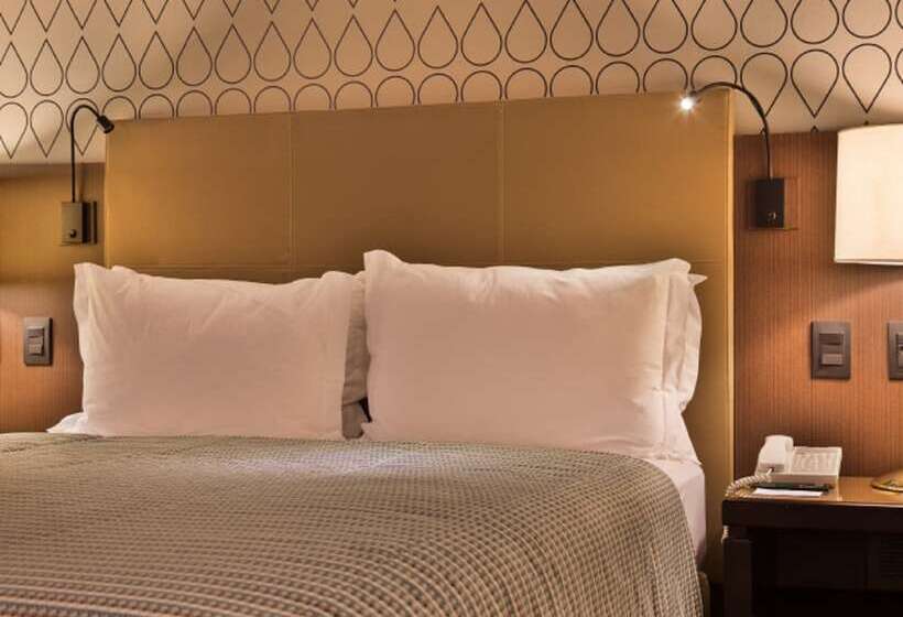 اتاق سوپریور, Bourbon Hotel & Suites Curitiba