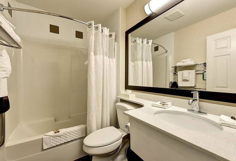 스탠다드 룸 더블 침대 2개, Best Western Plus Osoyoos Hotel And Suites