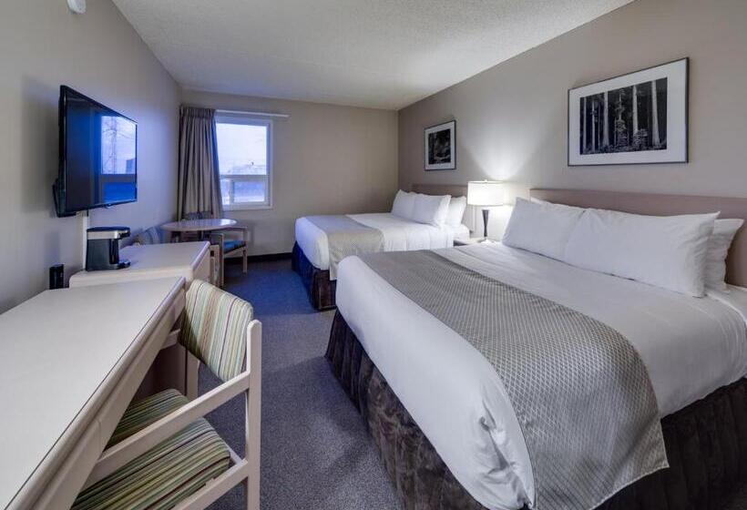 Номер Стандарт, Heritage Inn Hotel & Convention Centre   Brooks