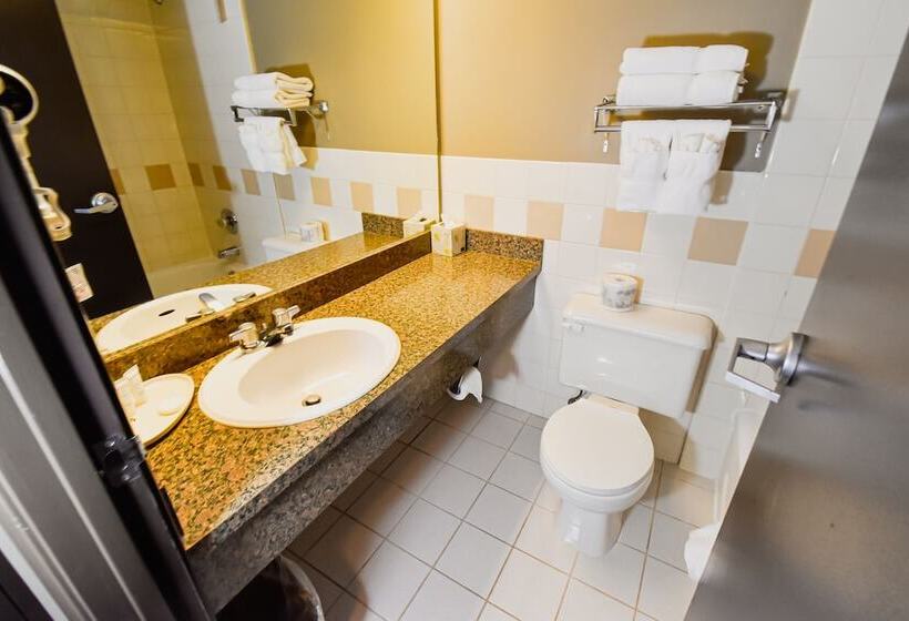 デラックスルーム, Canad Inns Destination Centre Fort Garry