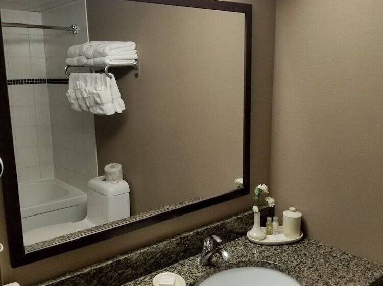 デラックスルーム, Canad Inns Destination Centre Fort Garry