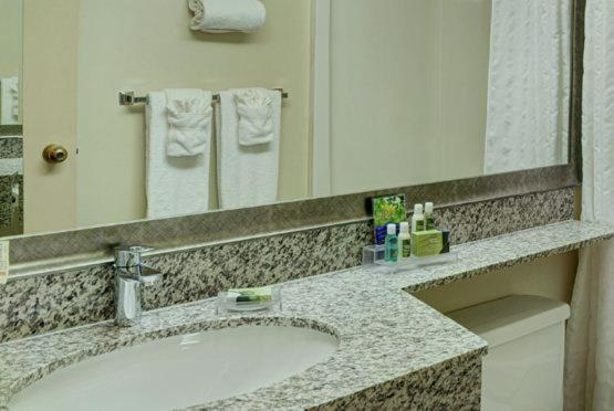 带大床的套房, Thompson's Best Value Inn & Suites