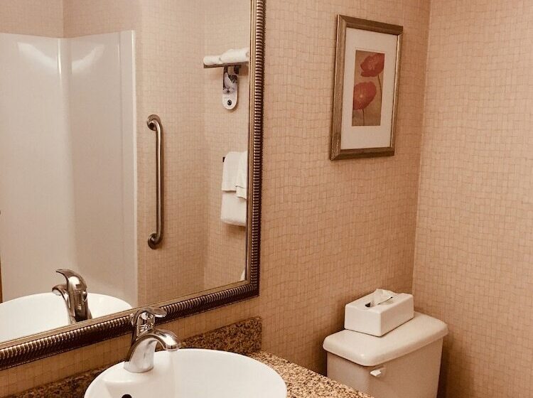 스탠다드 전망 룸, Holiday Inn Osoyoos