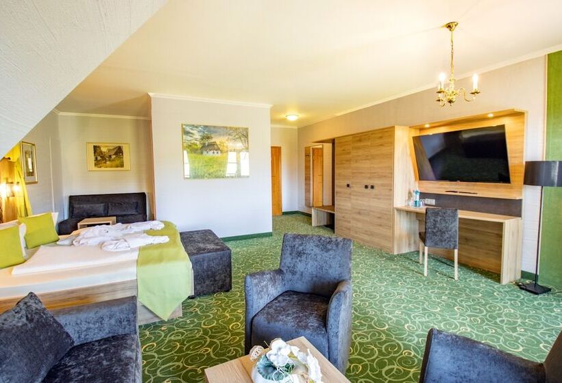 Полулюкс, Panorama Berghotel Wettiner Höhe