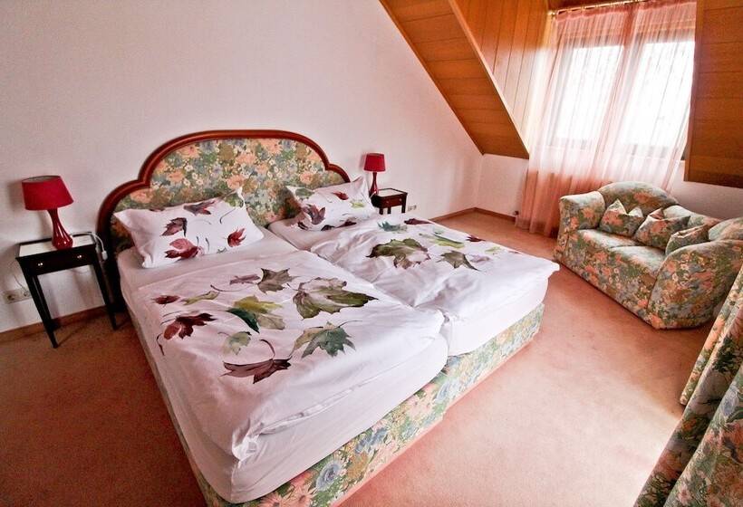 舒适型单人间, Waldhotel Stein
