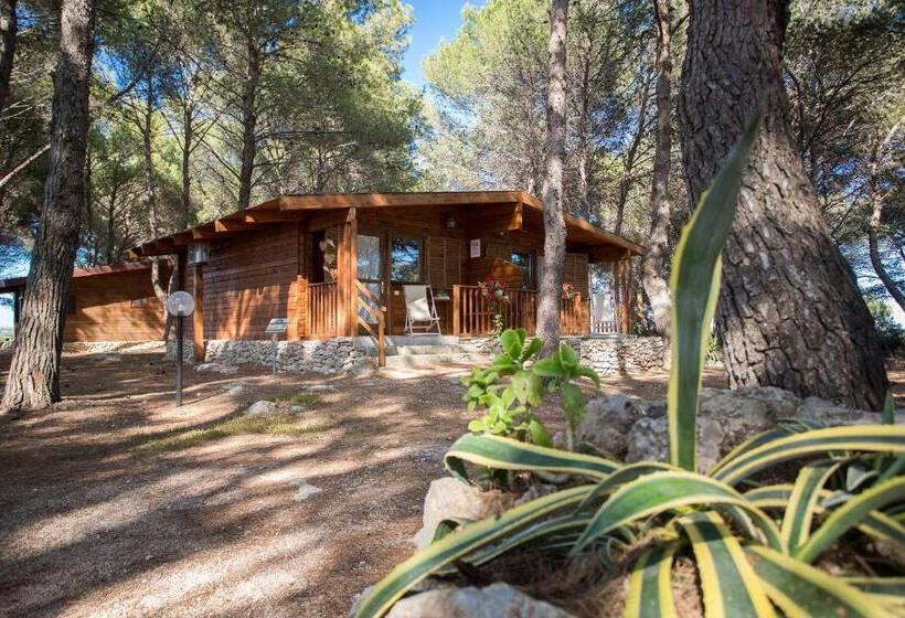 Дом 1 Спальня, Tenuta Del Barco