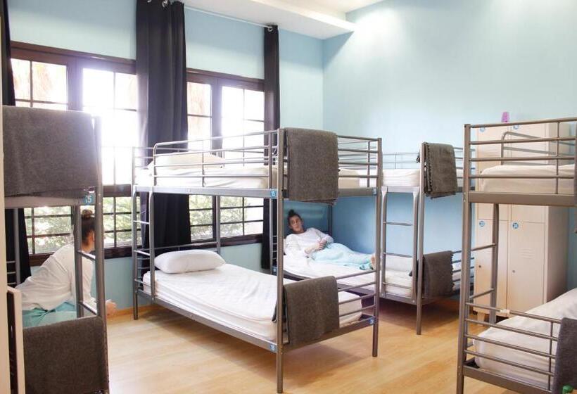 اتاق خانوادگی, Hostel águilas Isla Del Fraile