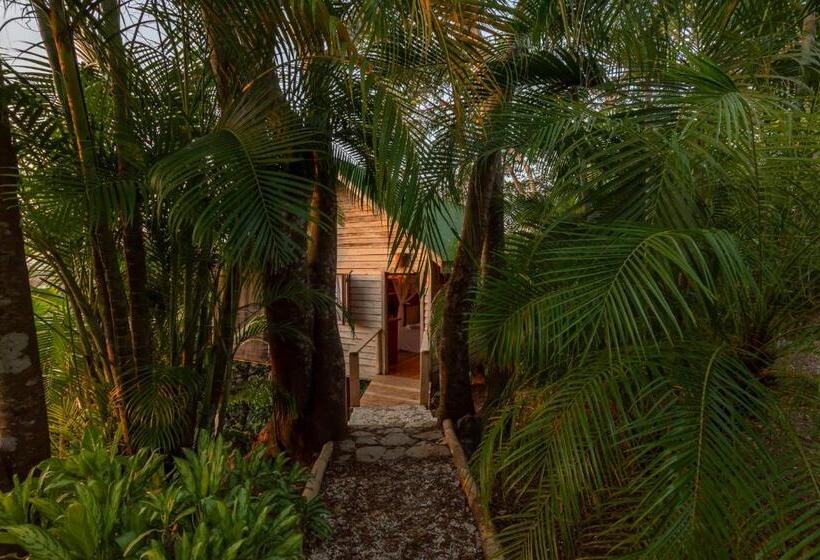 스위트 킹사이즈 침대, Calamocha Lodge