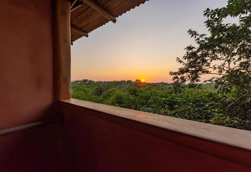 스위트 킹사이즈 침대, Calamocha Lodge