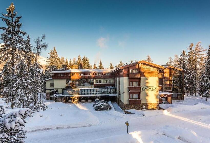 Люкс Премиум, Aplend Wellness Hotel Borovica