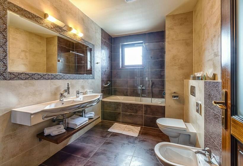 Классический Номер, Aplend Wellness Hotel Borovica