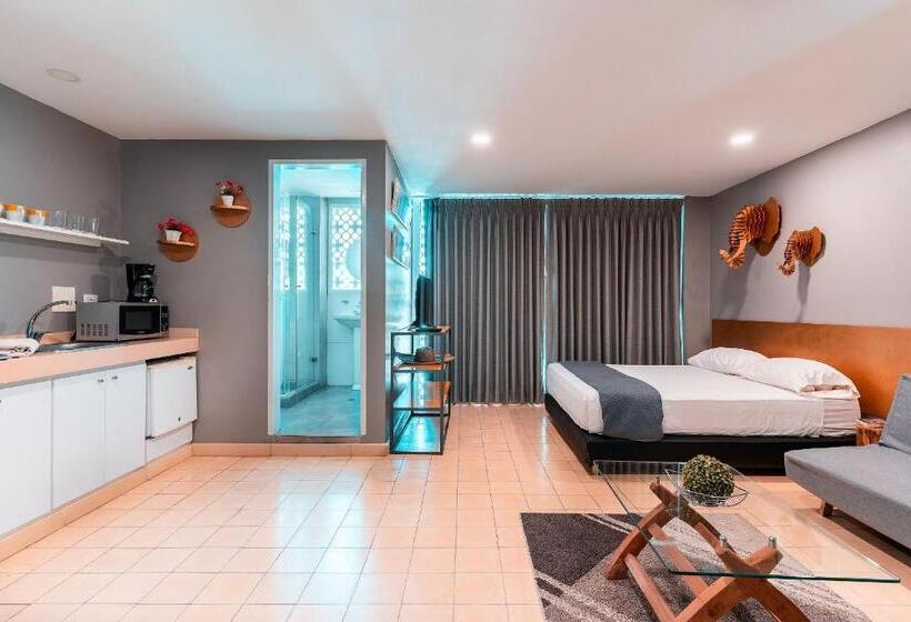 Апартаменты 1 Спальня с Балконом, Casa Bugambilia