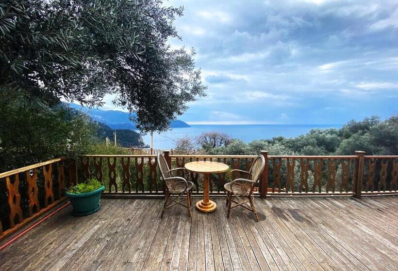 Bungalow Familiar, Kabak Armes
