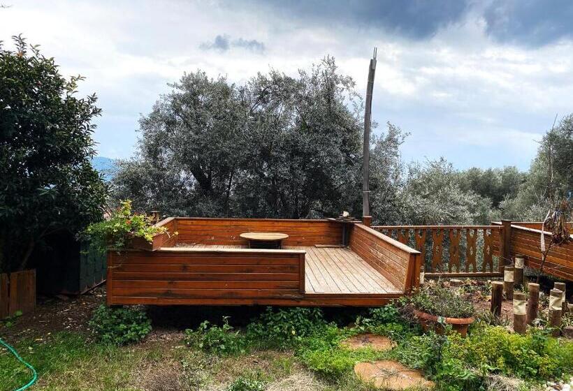 Quarto Estandar, Kabak Armes