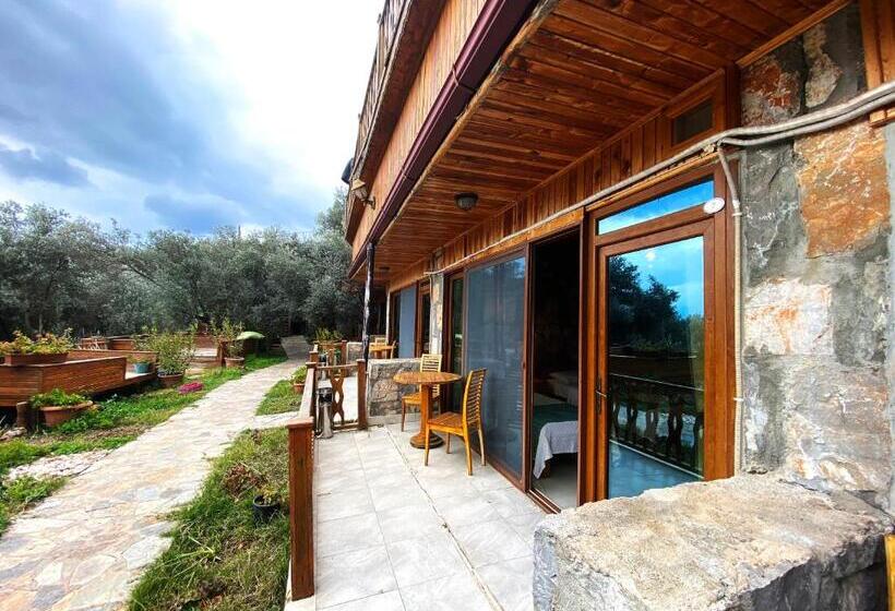 Quarto Estandar, Kabak Armes