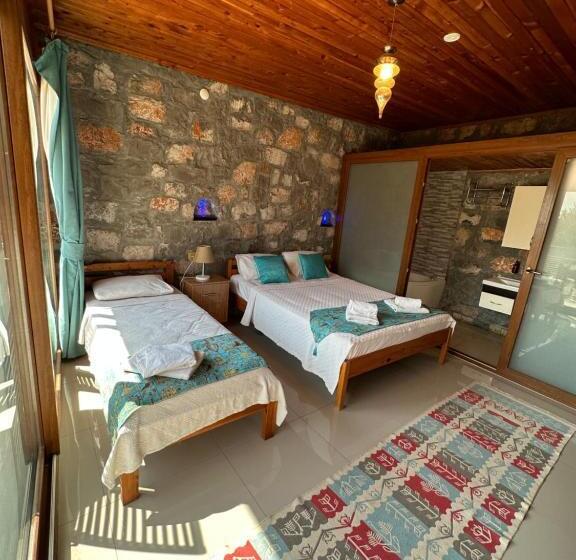 Quarto Estandar, Kabak Armes
