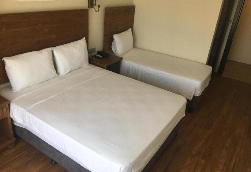 Triple Room Sea View, 8 Rooms