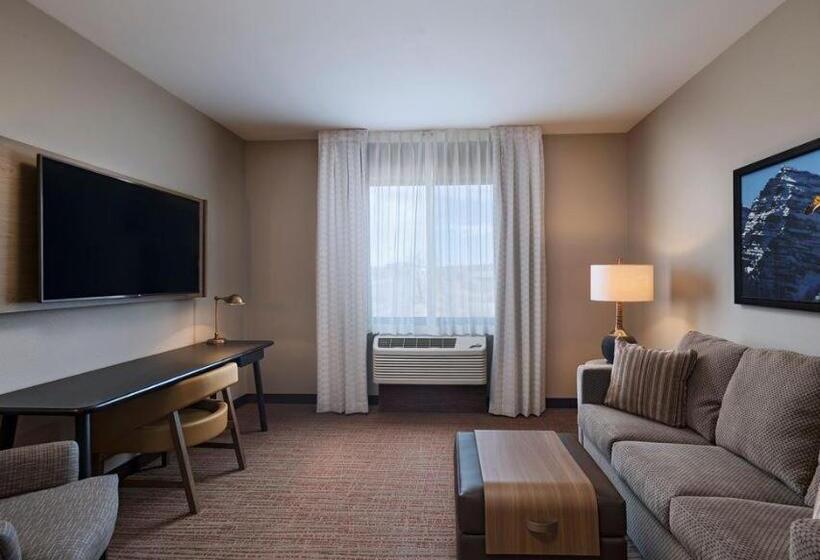 스탠다드 룸 킹사이즈 침대, Fairfield Inn & Suites By Marriott Colorado Springs East