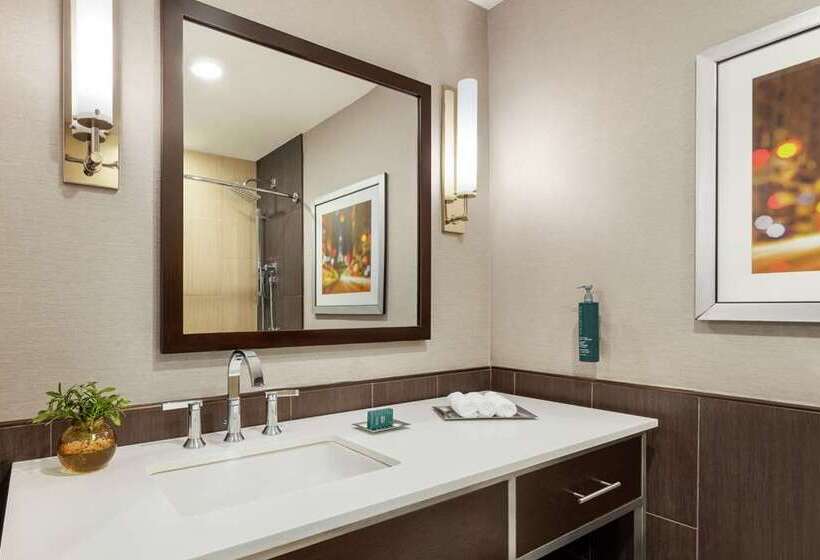 Стандартный Номер Кровать Кинг, Hilton Garden Inn Pittsburgh Area Beaver Valley, Pa
