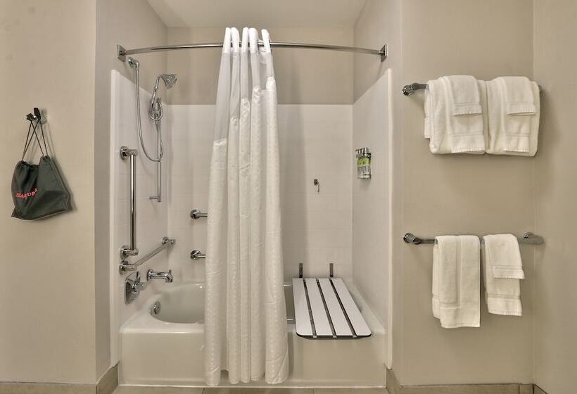 适合残疾人士使用的套间, Holiday Inn Express & Suites - Albuquerque East, An Ihg