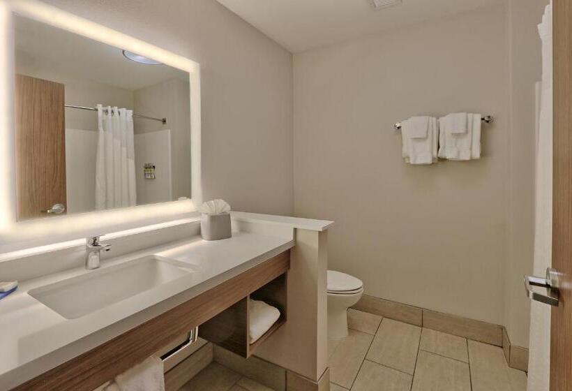 Suíte Cama King, Holiday Inn Express & Suites - Albuquerque East, An Ihg