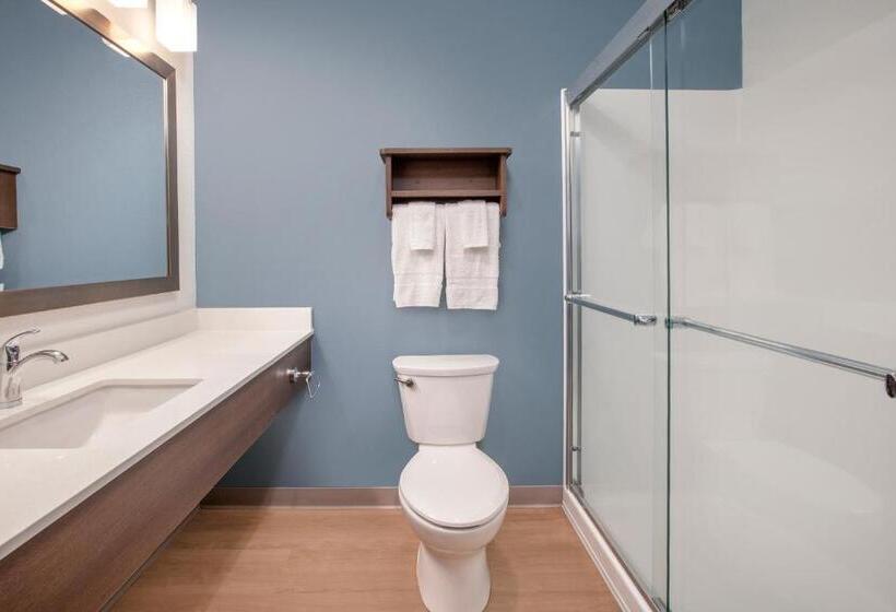 Стандартный Номер Кровать Кинг, Woodspring Suites Quantico