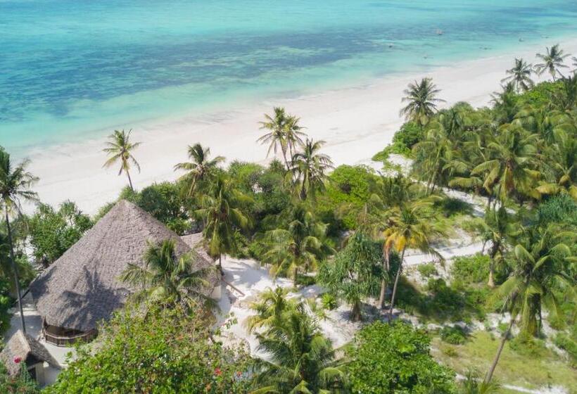 Вилла 1 Спальня, Zanzibar Pearl   Boutique Hotel & Villas