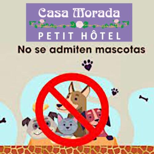 스탠다드 룸 킹사이즈 침대, Casa Morada