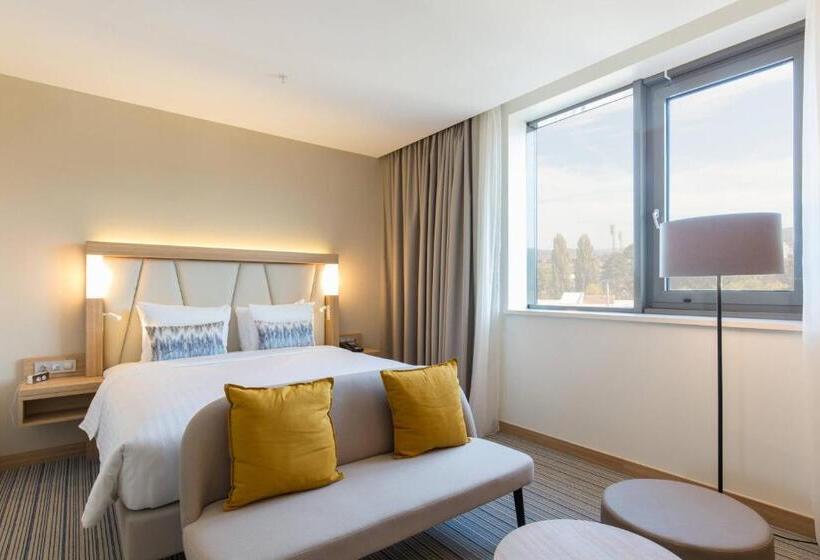 اتاق دلوکس با تخت کینگ و چشم‌انداز شهر, Courtyard By Marriott Banja Luka